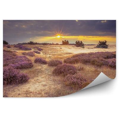 Fototapeta Pole Vresu Obloha Mraky Západ Slnka Tráva