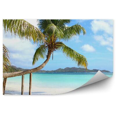 Fototapeta Palmy pláž oceán hory rastliny obloha mraky Seychely