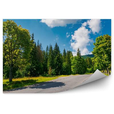 Fototapeta na stenu Cesta V Horách Stromy Príroda