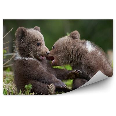 Fototapeta Medvede v lese