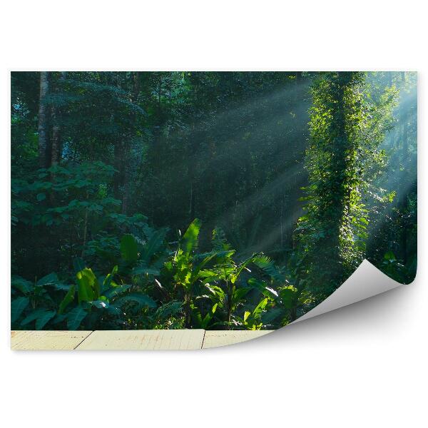 Fototapeta Drevená Terasa Tropický Les Kríky Slnko