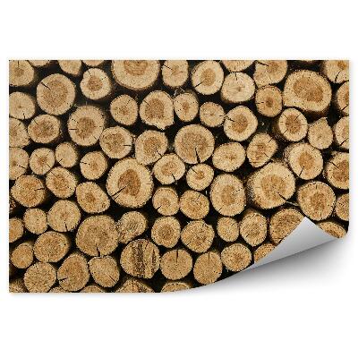 Fototapeta na stenu Drevené dosky v priereze