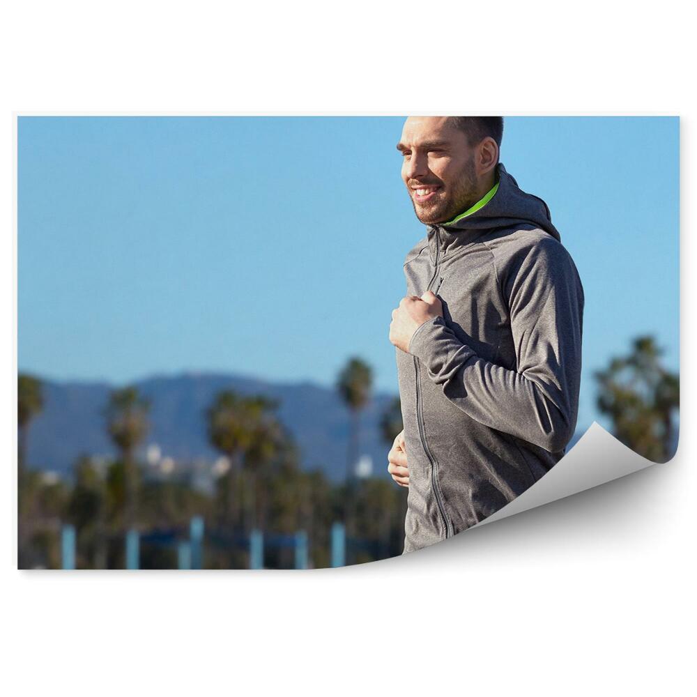 Fototapeta na stenu Tek palme gore plaža nebo