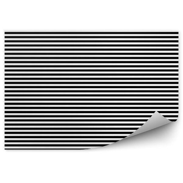Fototapeta na stenu Čiernobiely pruhovaný horizontálny vzor
