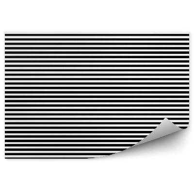 Fototapeta na stenu Čiernobiely pruhovaný horizontálny vzor