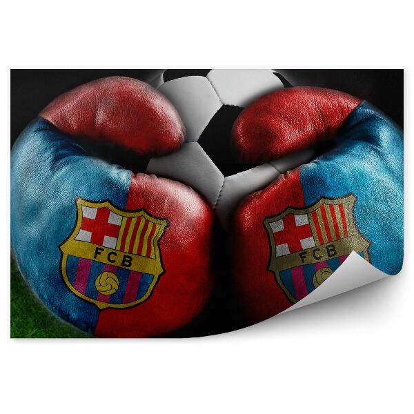Fototapeta na stenu Boks in nogomet fc barcelona turf
