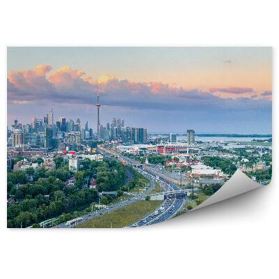 Fototapeta na stenu Letecký pohľad na mesto toronto vegetácia