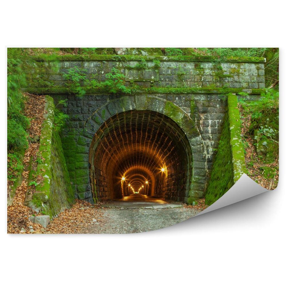 3d fototapeta Betónový zarastený tunel