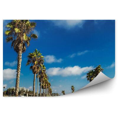 Fototapeta Pláž autá palmy cesta ľudia obloha mraky