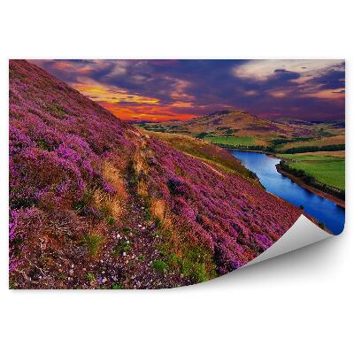 Fototapeta Vres Na Svahu Rieka A Západ Slnka