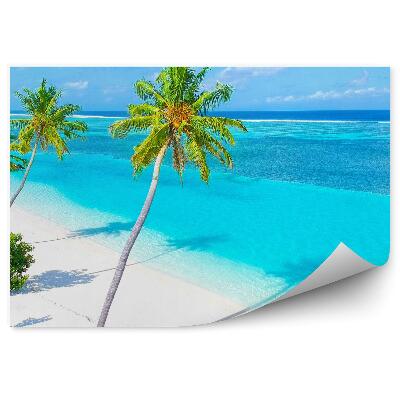 Fototapeta Piesočnatá pláž palmy intenzívne farby