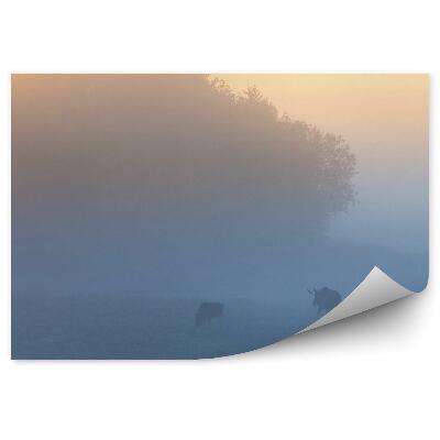 Fototapeta na stenu Stádo Losov Strom Tráva Západ Slnka Ranná Hmla