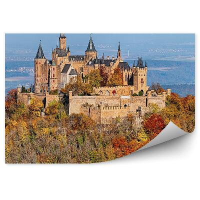 Fototapeta na stenu Zámok hohenschwangau bavorské alpy ihličnaté stromy hory