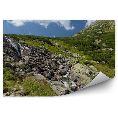 Fototapeta na stenu Vodopád Tatry leto Poľsko príroda