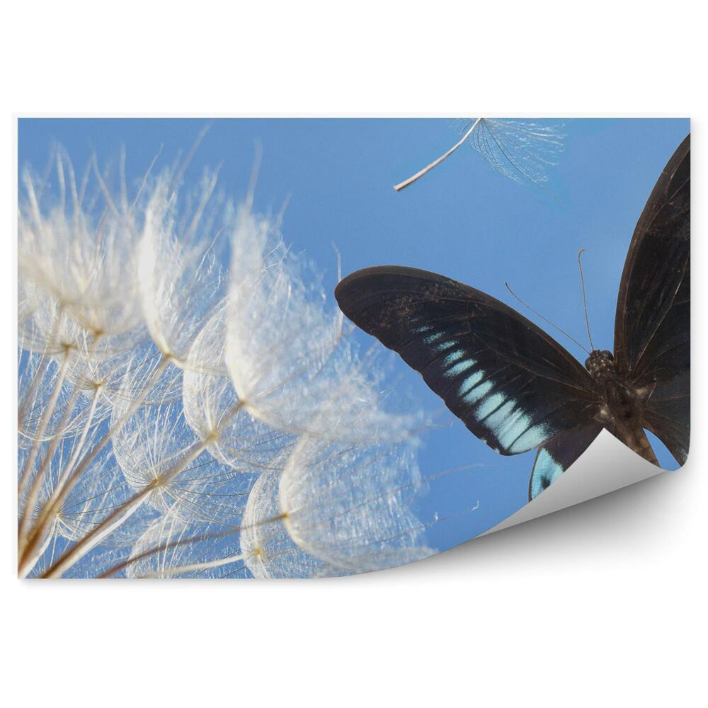 Fototapeta na stenu Rastliny Motýľa Puklice Semennej