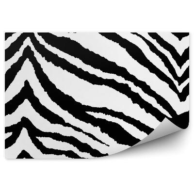Fototapeta Čiernobiely horizontálny pruhovaný vzor zebra