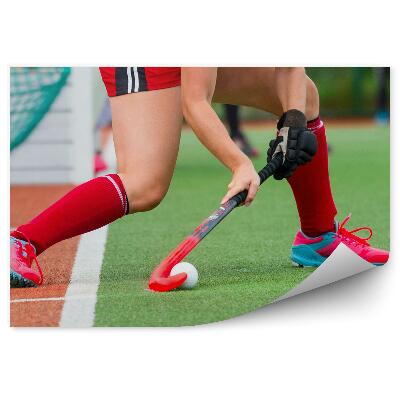 Fototapeta Hokejska akcija