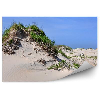 Fototapeta Duny Tráva Obloha Skaly