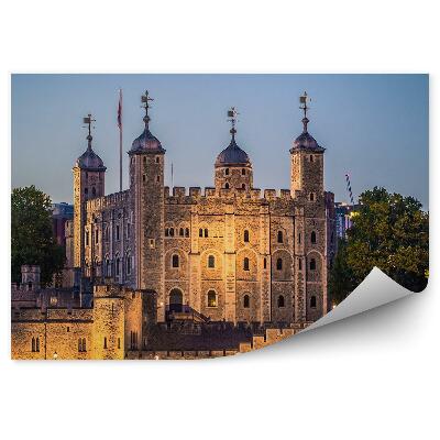 Fototapeta Pevnosť Tower stromy rieka svetla Londýn