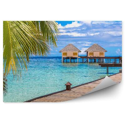 Fototapeta na stenu Palmy Dom Mólo Modrá Voda Maledivy