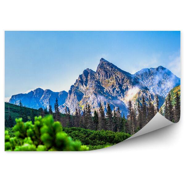 Fototapeta na stenu Tatry Ihličnaté Stromy Hory Obloha Mraky Príroda