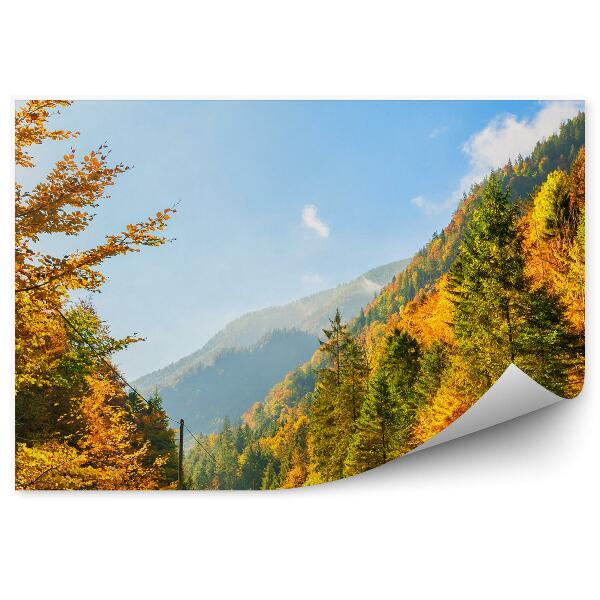 Fototapeta na stenu Jeseň hory alpy stromy rastliny cesta obloha mraky