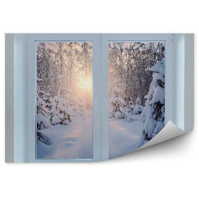 Fototapeta na stenu Zimné okno les