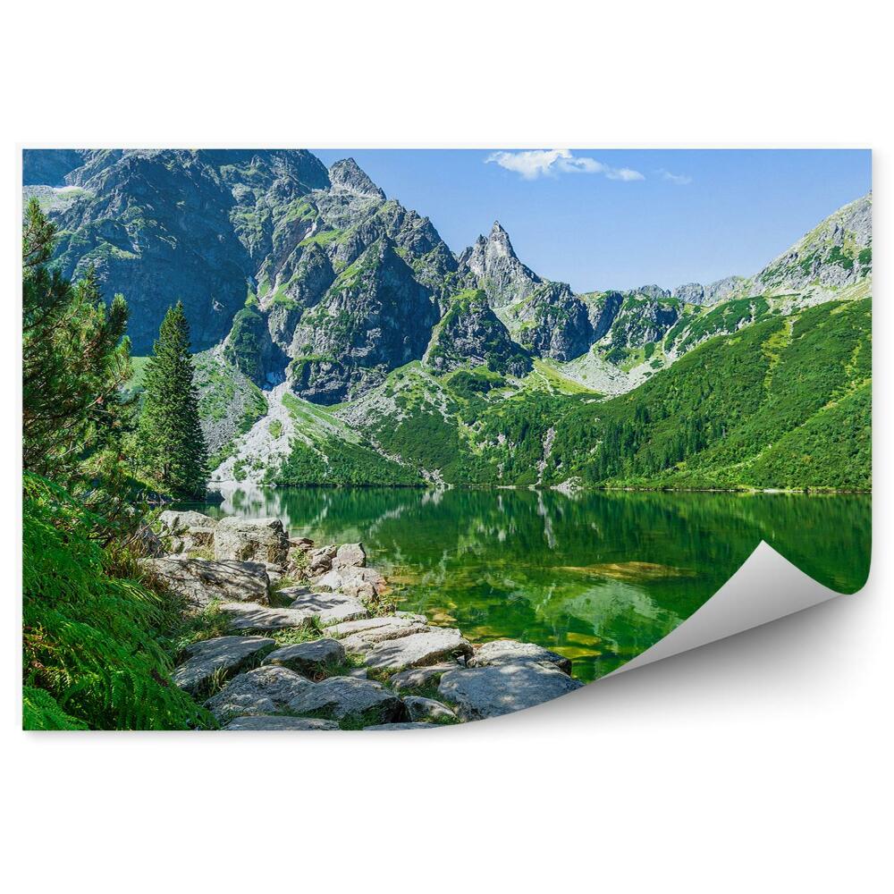 Fototapeta Hory Skaly Jazero More Oko Palmy Tatra Obloha Mraky