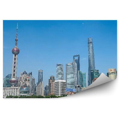 Fototapeta Šanghaj mrakodrapy stromy oceán obloha mraky