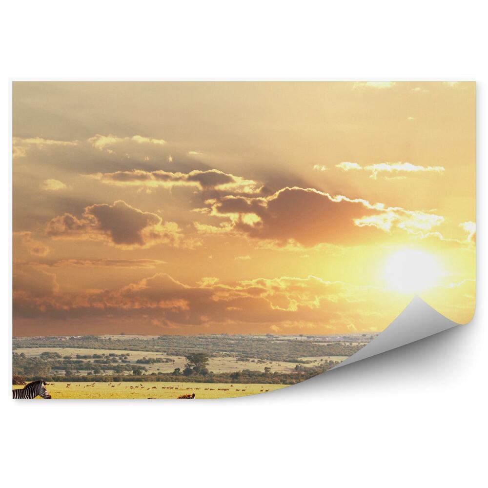 Fototapeta Zebry na savane na pozadí zapadajúceho slnka