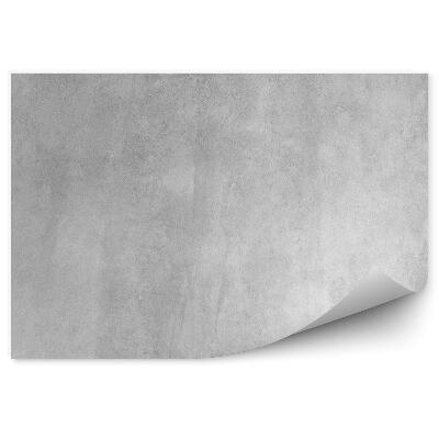 Fototapeta na stenu Leštený betón