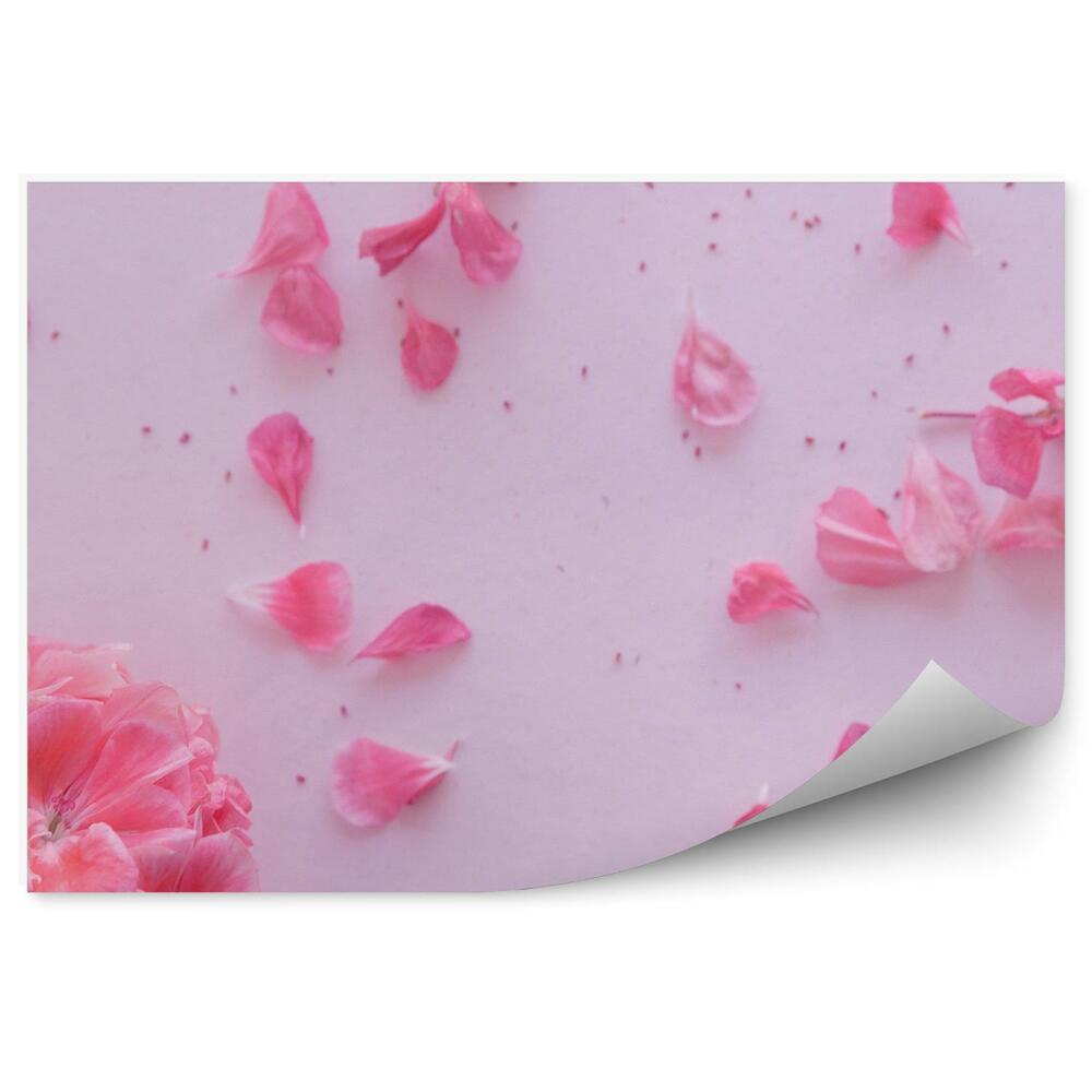 Fototapeta Ružové Hortenzie Ruže Kvety Pozadie