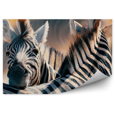 Fototapeta na stenu Zebra V Buši Divoké Africké Zvieratá