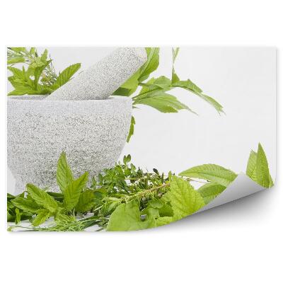 Fototapeta na stenu Hmoždinka zloženie čerstvých byliniek