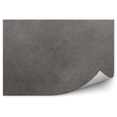 Fototapeta na stenu Textúra sivého betónu