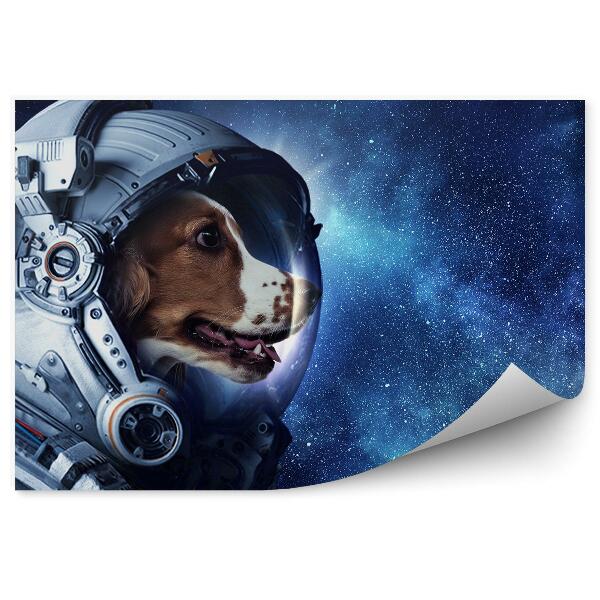 Fototapeta Astronaut Pes Hviezdy Oblohy Mliečna Dráha
