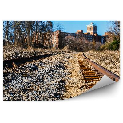 Fototapeta na stenu Zničené Železničné Trate Kamene Tráva Mesto