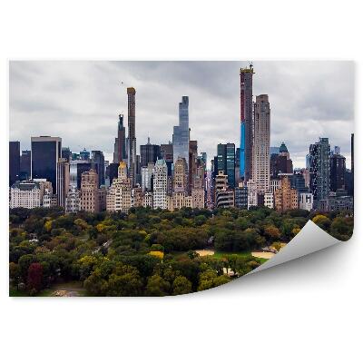 Fototapeta Mrakodrapy central park New York