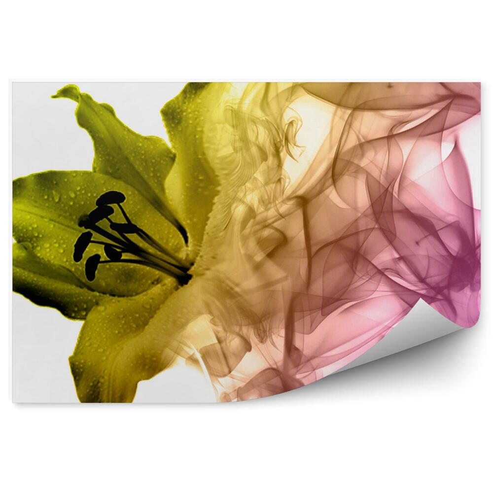 Fototapeta na stenu Žltý Kvet Ľalie Farebný Dym Biele Pozadie