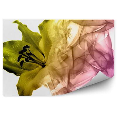 Fototapeta na stenu Žltý Kvet Ľalie Farebný Dym Biele Pozadie