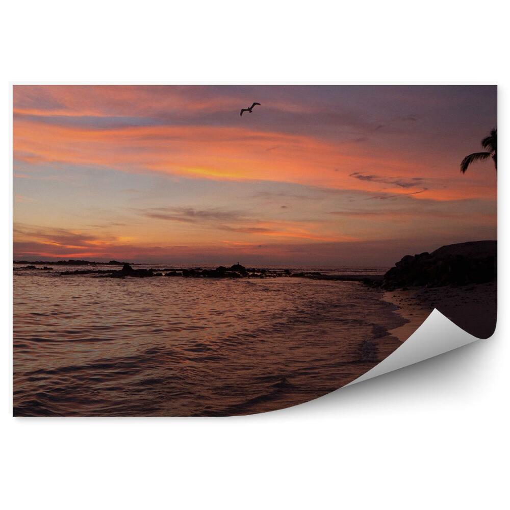 Fototapeta na stenu Západ Slnka Pláž Palmy Oceán Vtáky Tropy