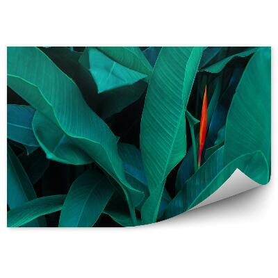 Fototapeta na stenu Záber zblízka na zelené listy tropickej rastliny