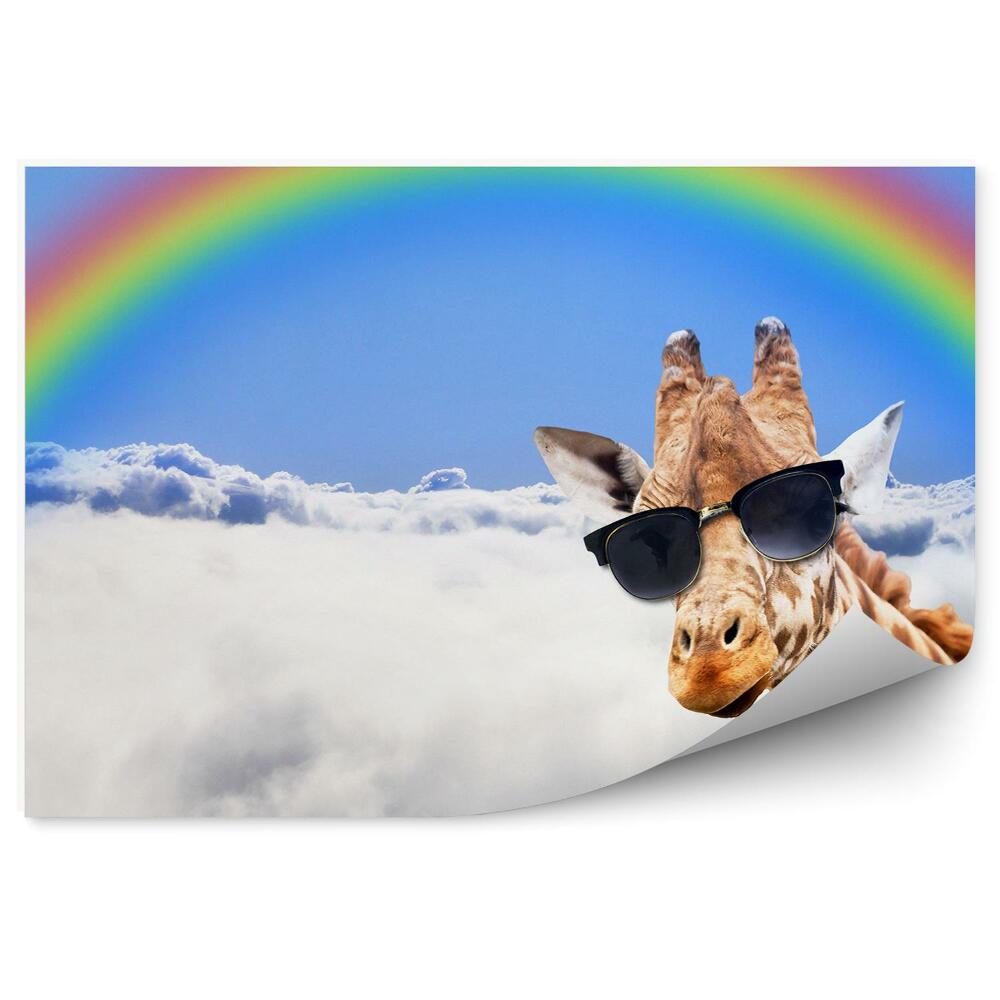 Fototapeta Okuliare S Hlavou Žirafy Obloha Mraky Dúha