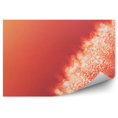 Fototapeta na stenu Makro Semienka Púpavy