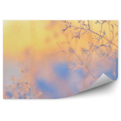 Fototapeta na stenu Ľadové kryštály tráva zima