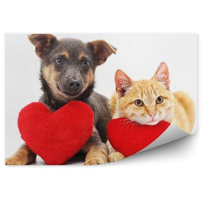 Fototapeta Šteniatko mačiatko srdiečka roztomilé biele pozadie