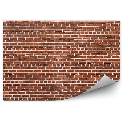 Fototapeta Tehlový múr