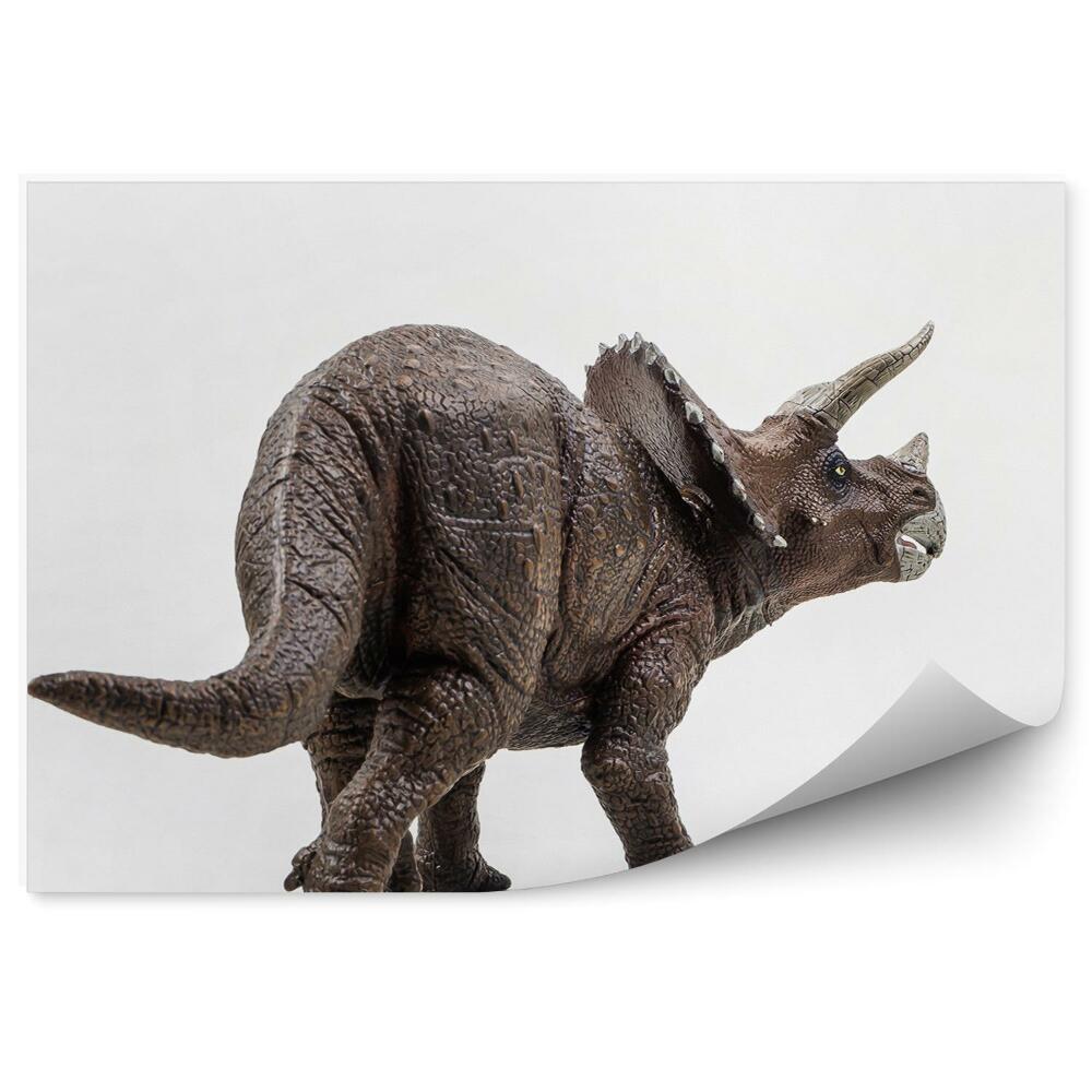 Fototapeta na stenu Triceratops na bielom pozadí