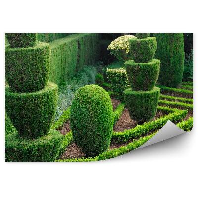 Fototapeta na stenu Dekoratívne kríky záhradná zeleň
