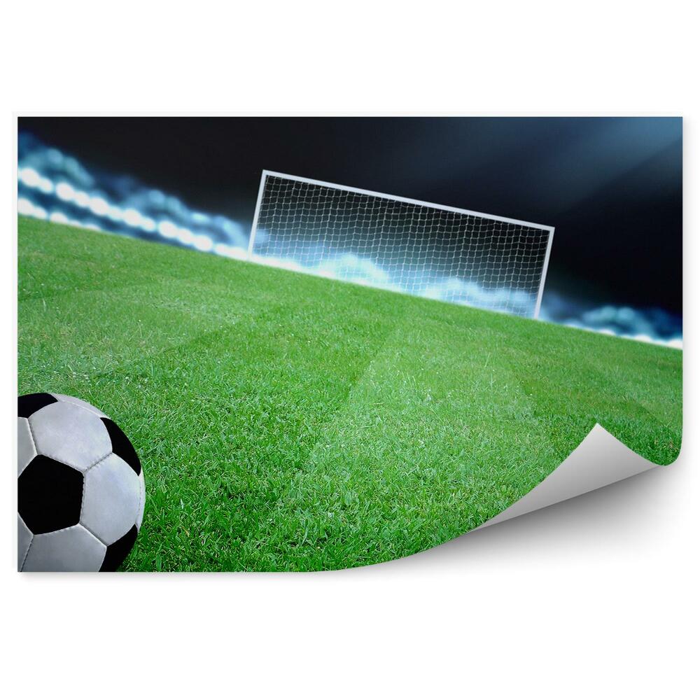 Fototapeta na stenu Žoga na nogometnem igrišču